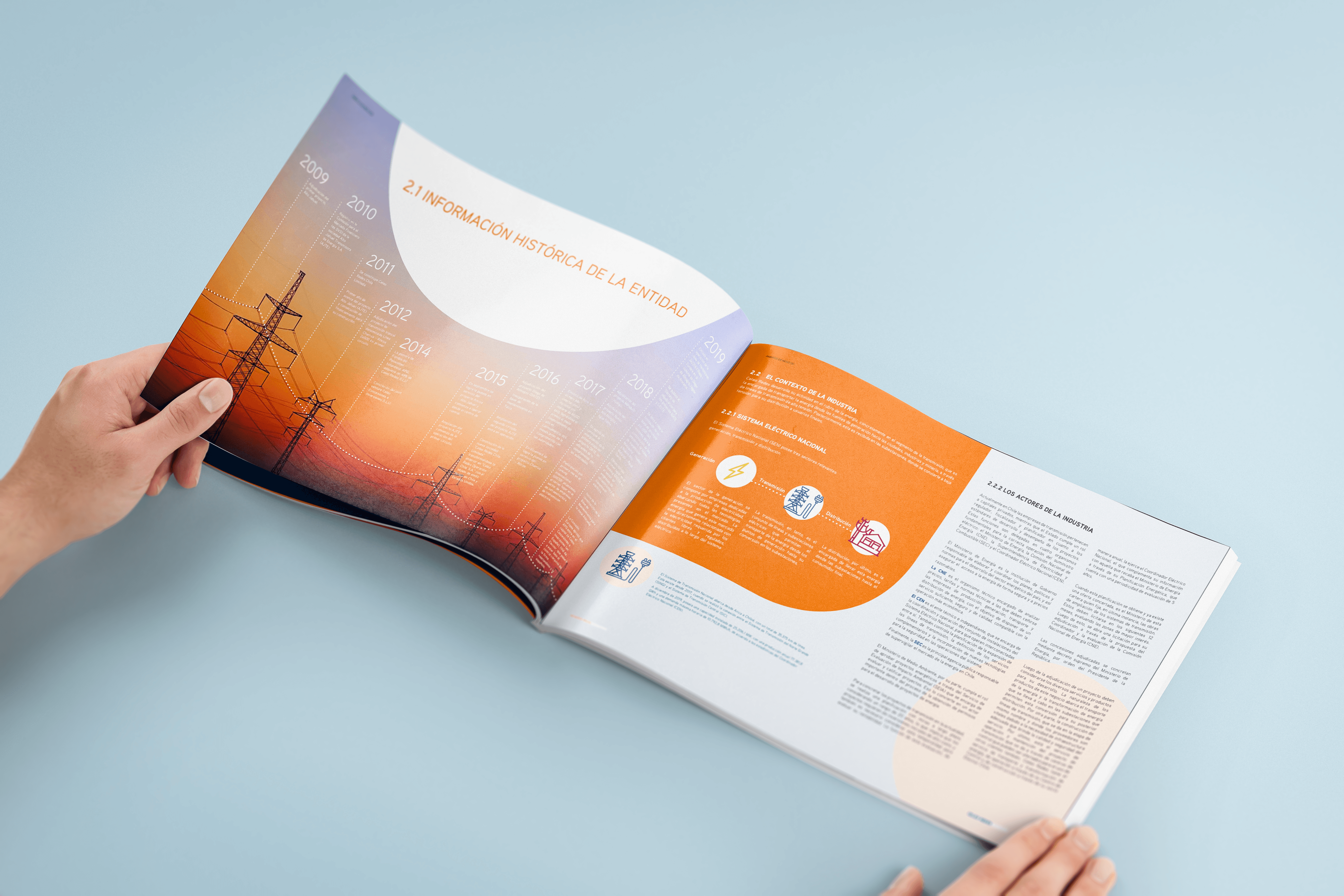 Celeoredes — mockup reporte