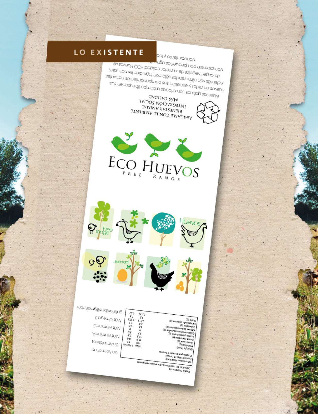Eco Huevos antes