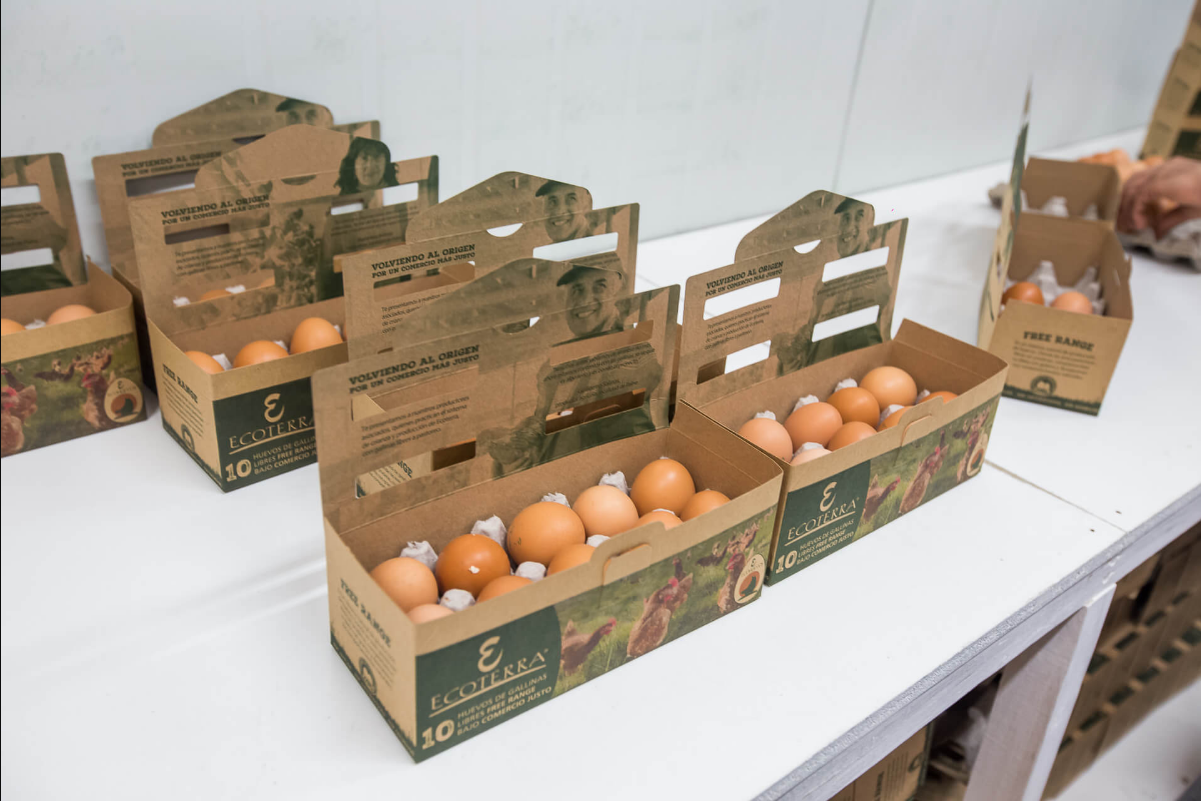 Ecoterra — producto