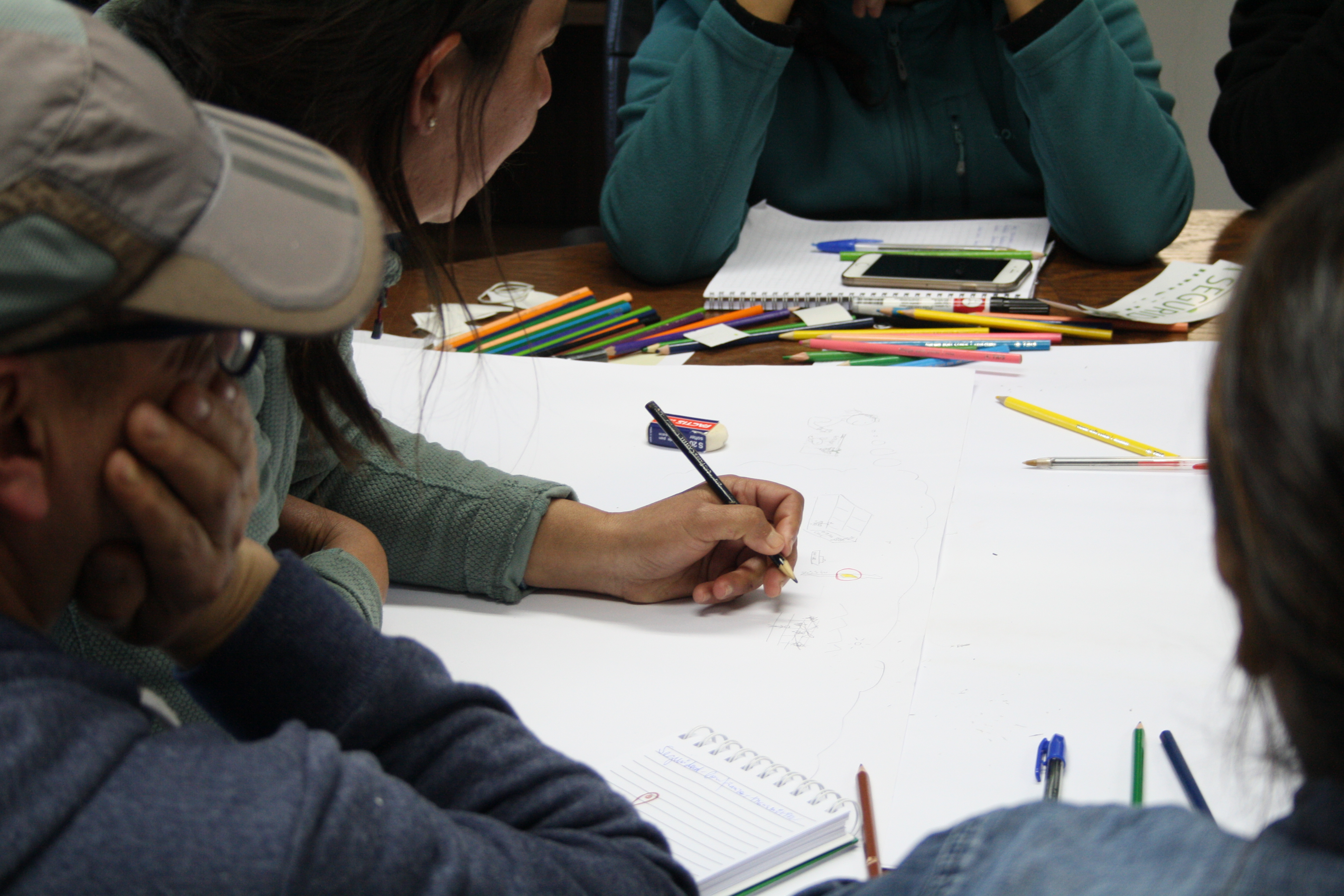 Resultado Canta Rana — fruto del proceso